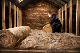 Best Crawl Space Insulation  in Hebbronville, TX