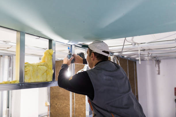 Best Pipe and Duct Insulation  in Hebbronville, TX