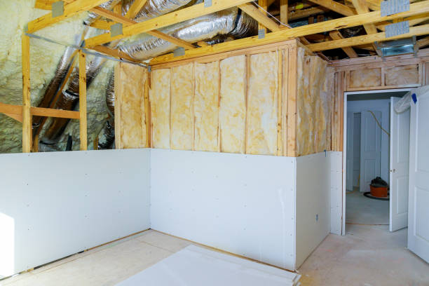 Best Radiant Barrier Insulation  in Hebbronville, TX